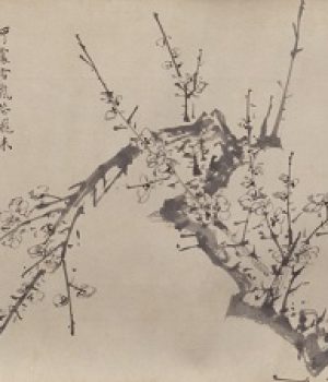 Zhang Boju collections